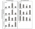 Thumbnail for version as of 01:56, 7 June 2014