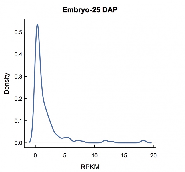 File:Embryo-25 DAP.rpkm.jpeg