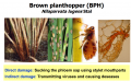 Thumbnail for version as of 07:14, 9 June 2014