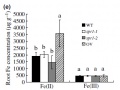 Thumbnail for version as of 10:36, 3 June 2014