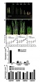 Thumbnail for version as of 06:04, 6 June 2014