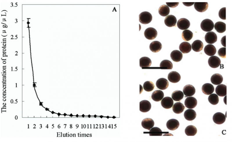 File:IC4R003-Proteomic-2016-16548068-2.png