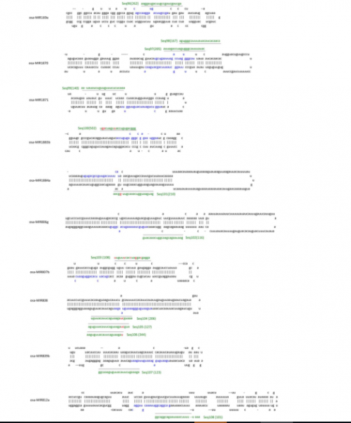 File:IC4R005-miRNA-2012-23071571-1.PNG