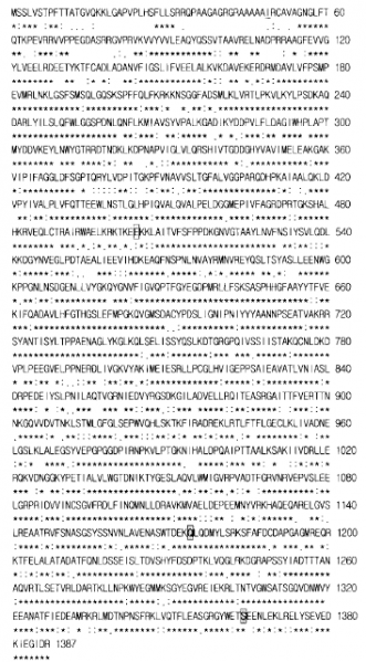 File:Os03g0323200-4.png