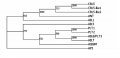 Thumbnail for version as of 05:02, 7 June 2014