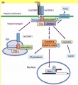 Thumbnail for version as of 04:11, 8 June 2014