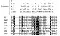 Thumbnail for version as of 10:16, 19 May 2014