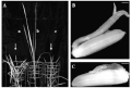 Thumbnail for version as of 10:43, 2 June 2014