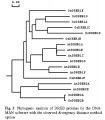 Thumbnail for version as of 13:00, 7 June 2014