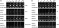Thumbnail for version as of 14:52, 13 May 2014