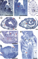 Thumbnail for version as of 18:04, 7 May 2014