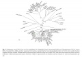 Thumbnail for version as of 16:13, 14 May 2014