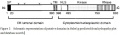 Thumbnail for version as of 14:14, 20 May 2014