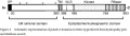 Thumbnail for version as of 14:17, 20 May 2014