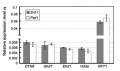 Thumbnail for version as of 05:55, 25 May 2014