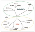 Thumbnail for version as of 07:36, 2 June 2014