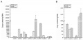 Thumbnail for version as of 06:43, 7 June 2014