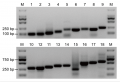 Thumbnail for version as of 14:39, 15 July 2016