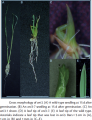 Thumbnail for version as of 18:02, 7 May 2014