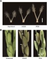 Thumbnail for version as of 06:00, 17 May 2014