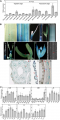 Thumbnail for version as of 02:17, 24 May 2014