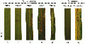 Thumbnail for version as of 14:11, 20 May 2014
