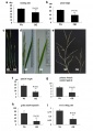 Thumbnail for version as of 16:50, 22 May 2014