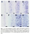 Thumbnail for version as of 16:40, 4 June 2014