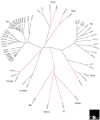 Thumbnail for version as of 08:48, 24 May 2014
