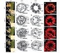 Thumbnail for version as of 15:53, 23 May 2014