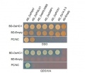 Thumbnail for version as of 14:54, 13 May 2014