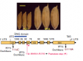 Thumbnail for version as of 05:13, 23 May 2014