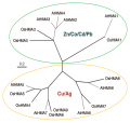 Thumbnail for version as of 12:14, 3 June 2014