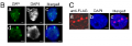 Thumbnail for version as of 11:16, 4 June 2014