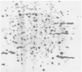 Thumbnail for version as of 03:53, 18 July 2016
