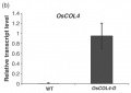Thumbnail for version as of 16:02, 14 May 2014
