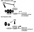 Thumbnail for version as of 03:20, 7 June 2014