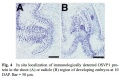 Thumbnail for version as of 16:58, 4 June 2014