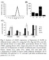 Thumbnail for version as of 02:44, 26 May 2014