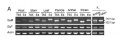 Thumbnail for version as of 12:05, 6 June 2014
