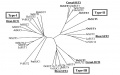 Thumbnail for version as of 11:21, 10 June 2014