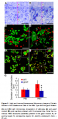 Thumbnail for version as of 08:23, 27 May 2014
