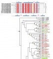 Thumbnail for version as of 06:24, 20 May 2014