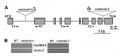 Thumbnail for version as of 07:06, 2 June 2014
