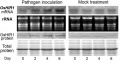 Thumbnail for version as of 16:32, 2 June 2014