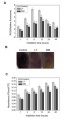 Thumbnail for version as of 08:19, 6 June 2014