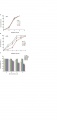 Thumbnail for version as of 02:58, 8 June 2014