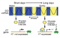 Thumbnail for version as of 05:48, 21 May 2014
