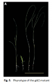 Thumbnail for version as of 07:09, 22 May 2014