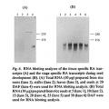 Thumbnail for version as of 02:41, 6 June 2014